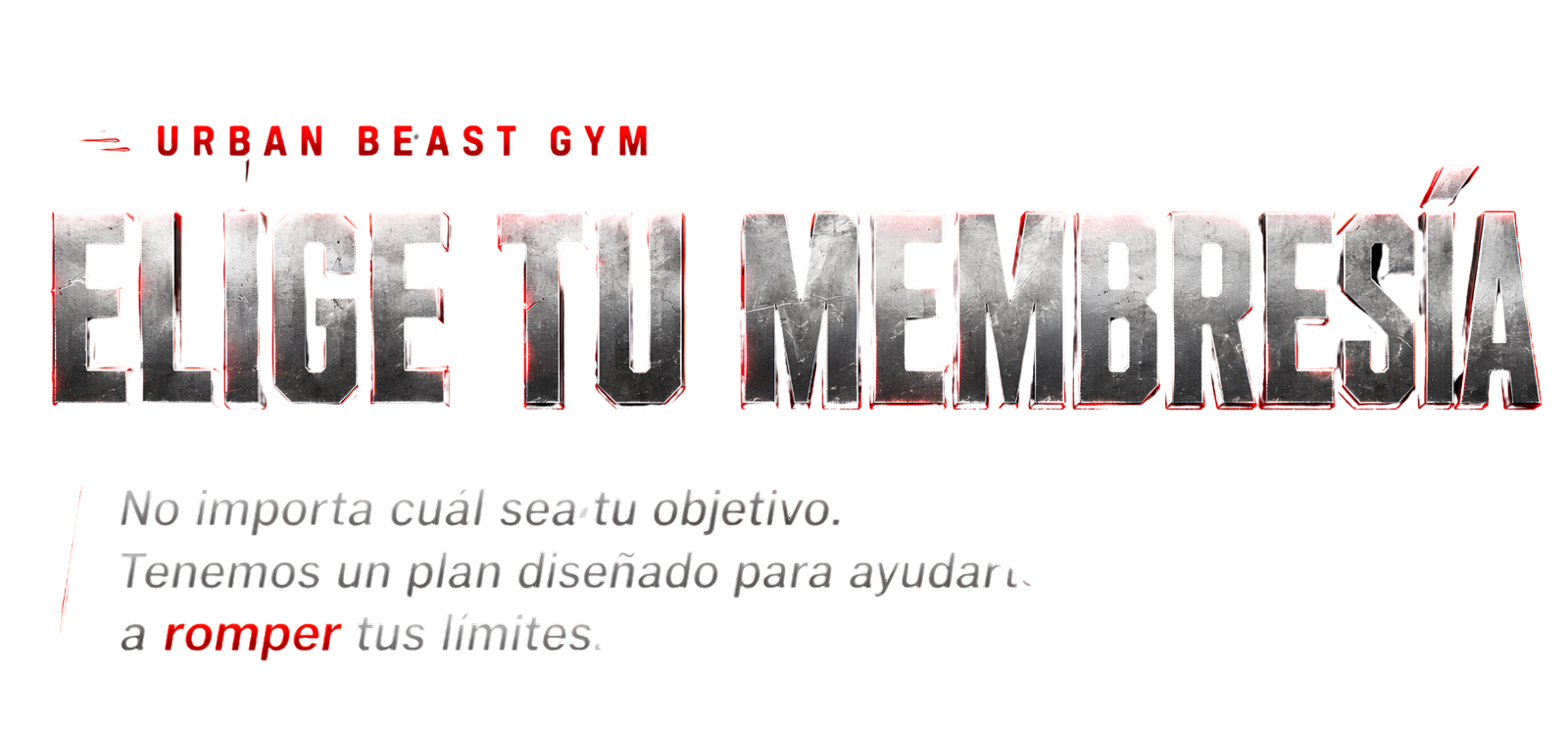 Elige tu Membresía