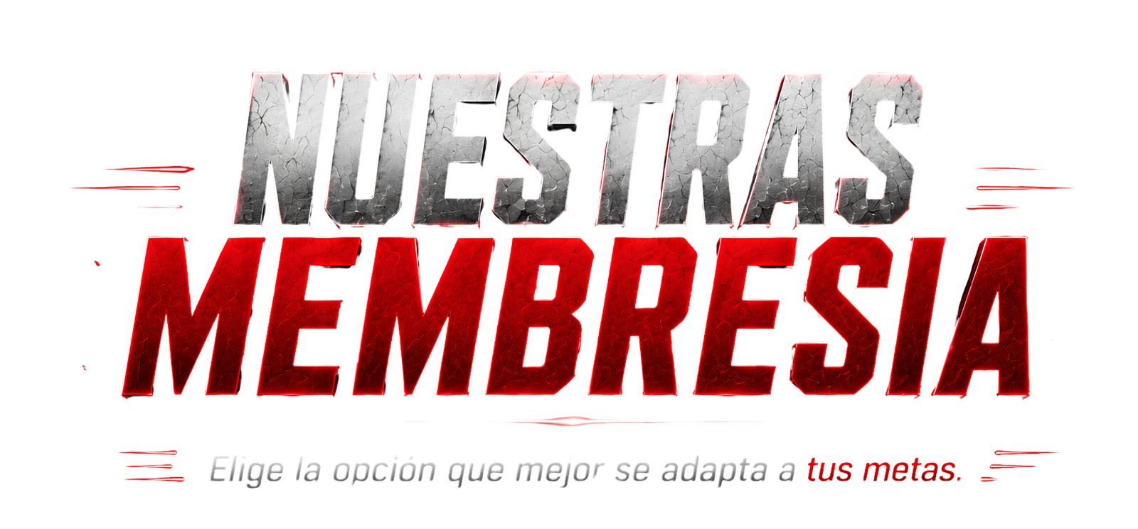 Nuestras Membresías
